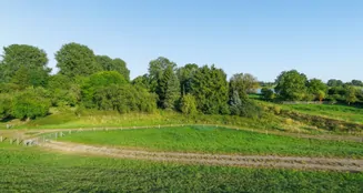 von_poll_real_estate_property_25013147_image_33