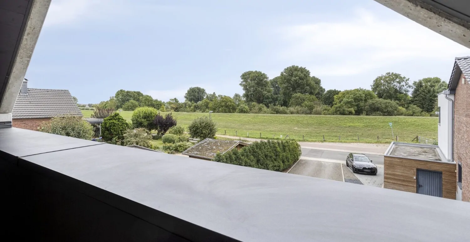 Blick auf den Rheindamm