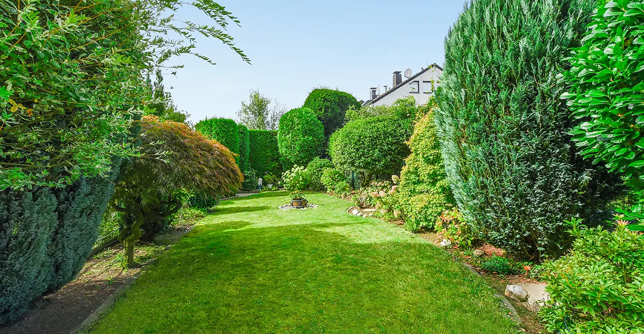 Der schön eingewachsene Garten