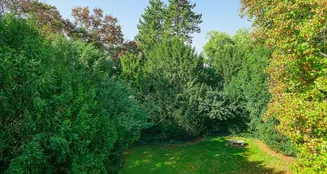 von_poll_real_estate_property_25013150_image_24