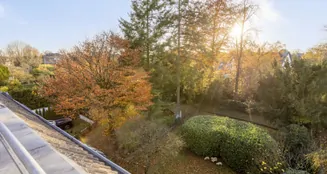 von_poll_real_estate_property_25013195_image_6