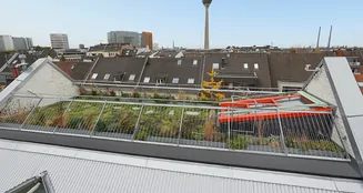 von_poll_real_estate_property_25013207_image_12