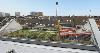 von_poll_real_estate_property_25013207_image_12