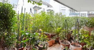 von_poll_real_estate_property_25013211_image_23