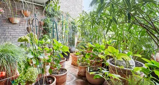 von_poll_real_estate_property_25013211_image_22