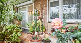 von_poll_real_estate_property_25013211_image_24