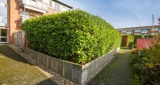 von_poll_real_estate_property_25013200_image_56