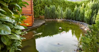 von_poll_real_estate_property_25013200_image_54