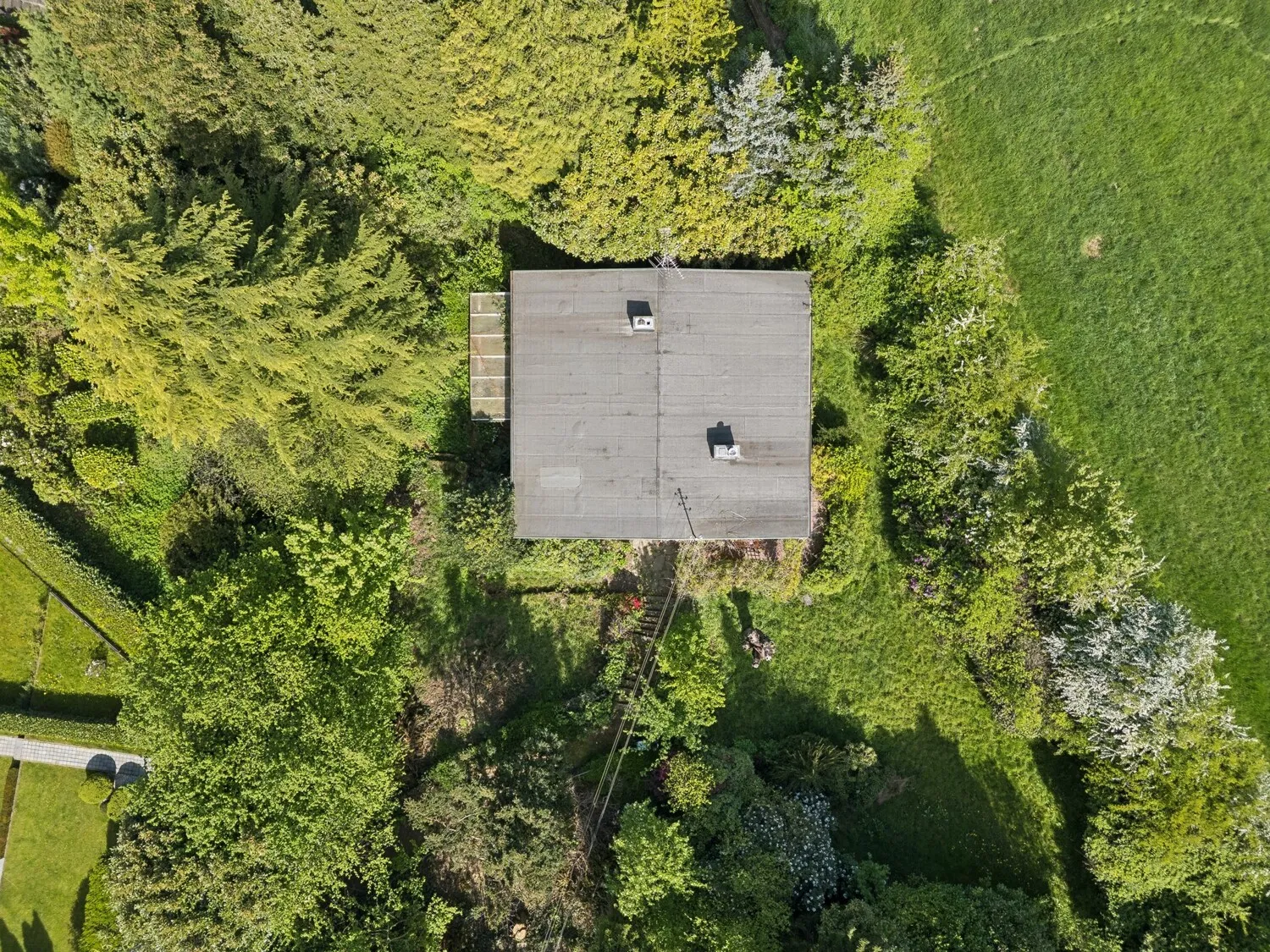 Vogelperspektive
