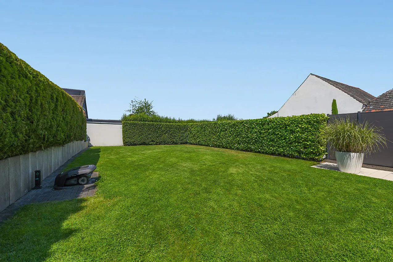 Der Garten