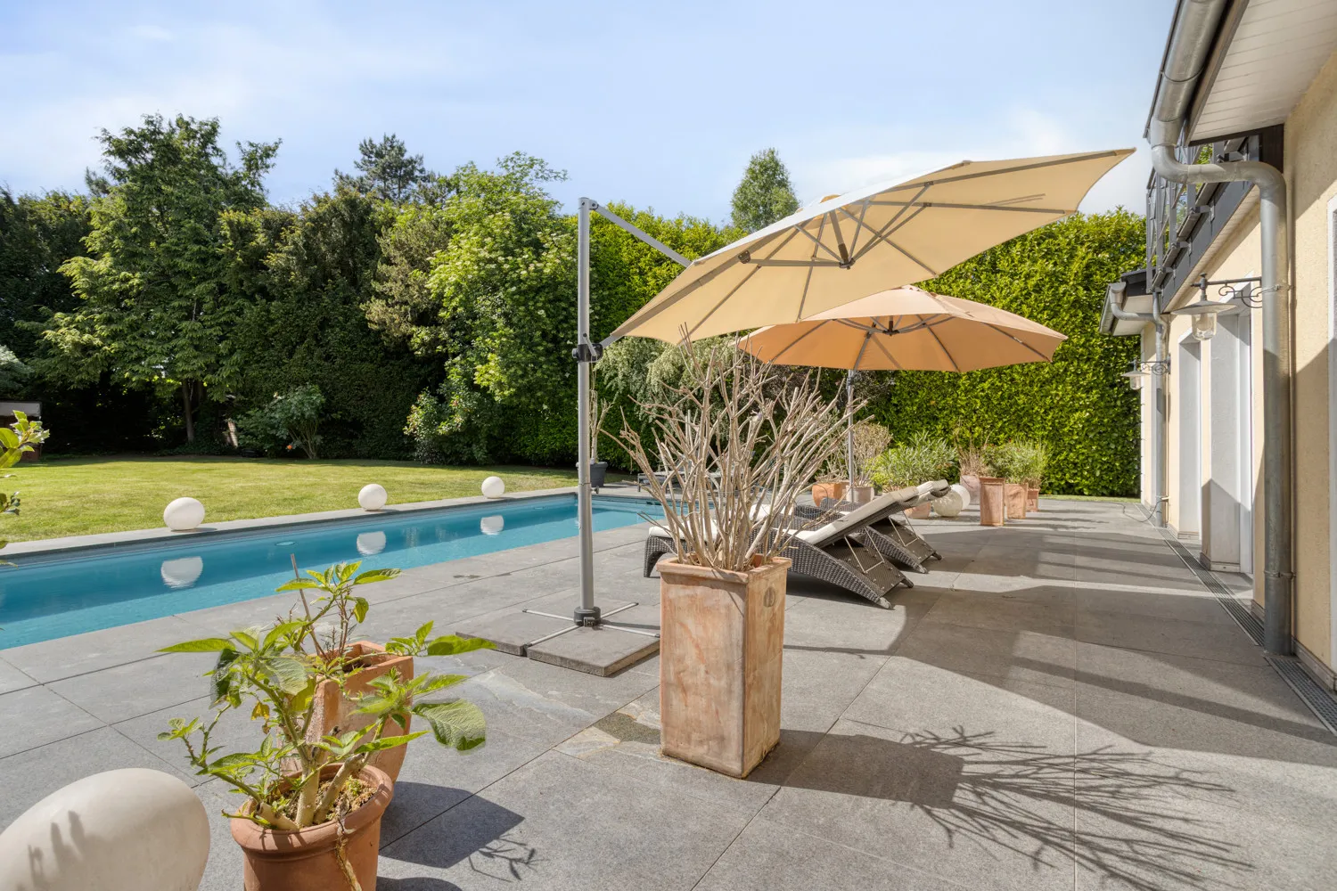 Terrasse/Pool