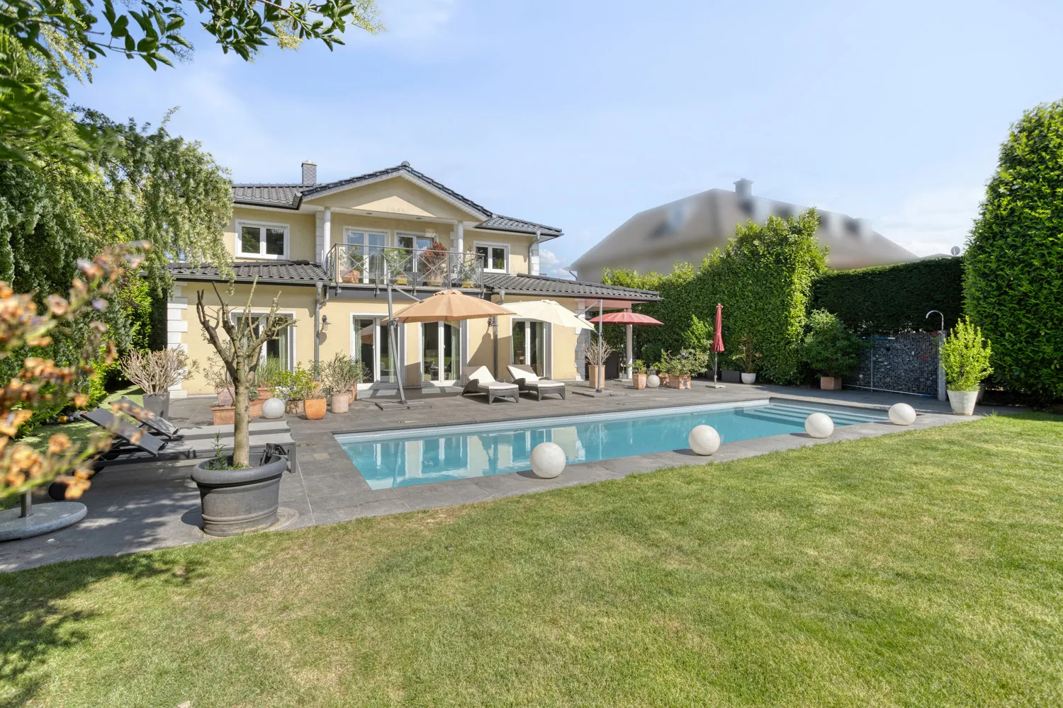 Bild vom Garten