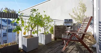 von_poll_real_estate_property_25013051_image_6