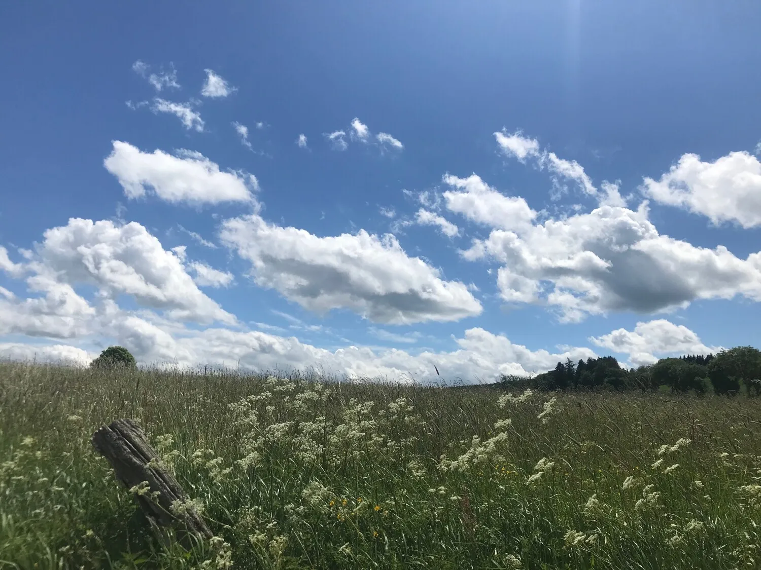 Aussicht