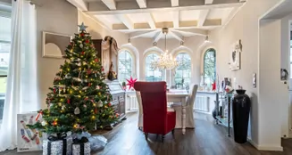 von_poll_real_estate_property_25198033_image_4