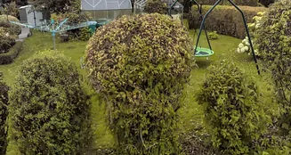 von_poll_real_estate_property_25198008_image_5