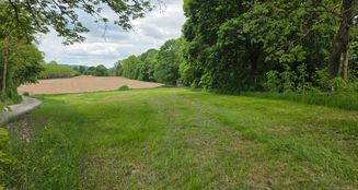 von_poll_real_estate_property_25198004_image_5