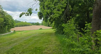 von_poll_real_estate_property_25198004_image_2