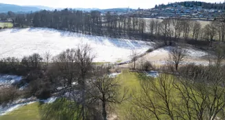 von_poll_real_estate_property_25198004_image_13