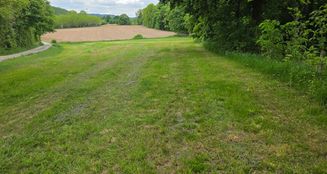 von_poll_real_estate_property_25198004_image_2