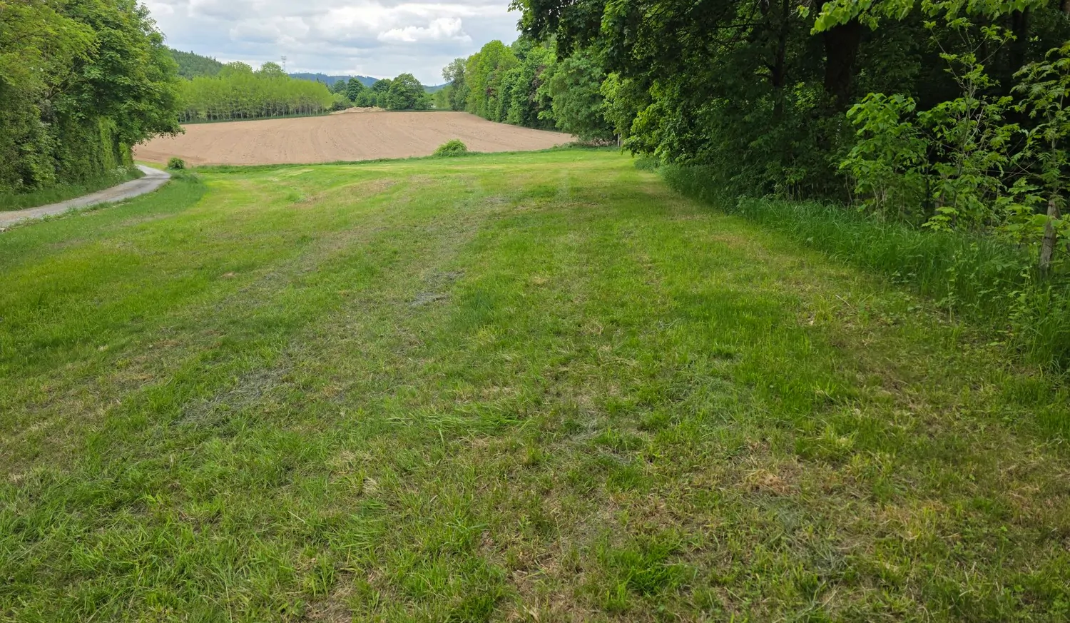 Ansicht Pachtgrundstück