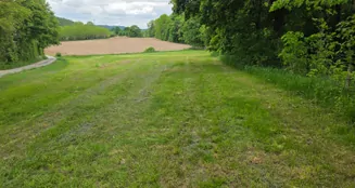 von_poll_real_estate_property_25198004_image_3