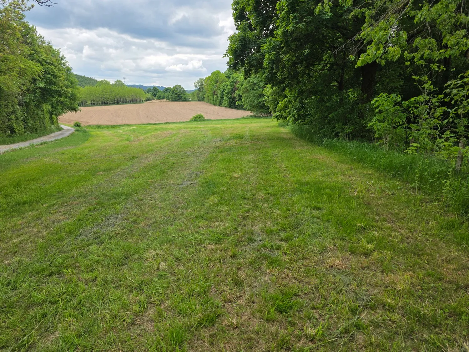 Ansicht Pachtgrundstück