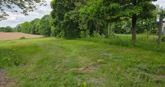 von_poll_real_estate_property_25198004_image_4