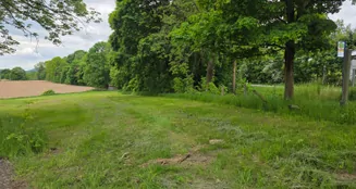 von_poll_real_estate_property_25198004_image_4