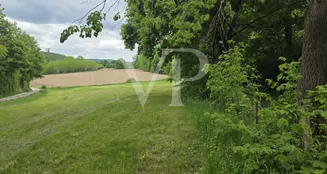 von_poll_real_estate_property_25198004_image_1