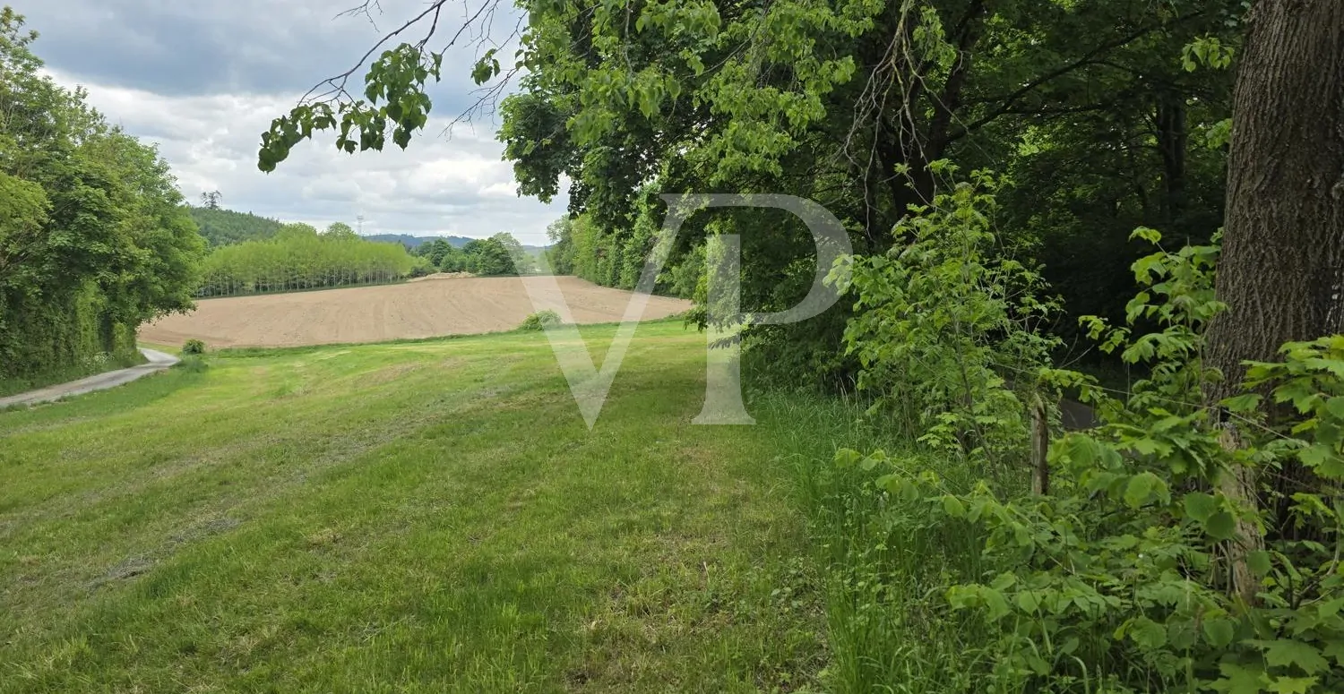 Pachtgrundstück_Brilon