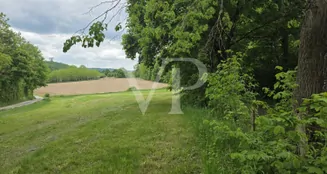 von_poll_real_estate_property_25198004_image_1