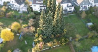 von_poll_real_estate_property_24198023_image_1