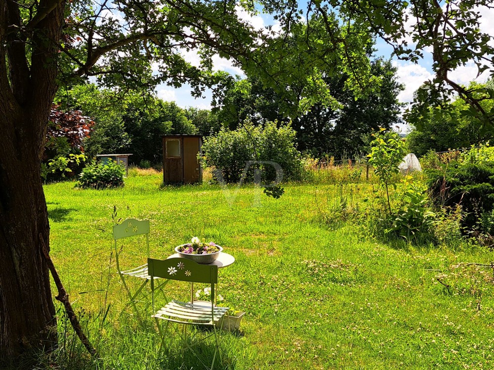 Blick in den Garten