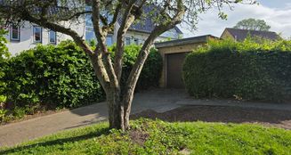 von_poll_real_estate_property_25173002_image_4