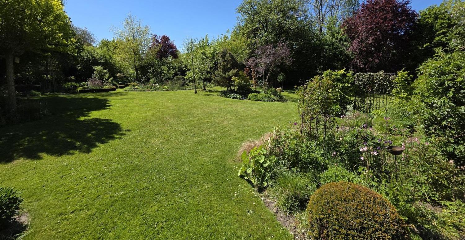 Gartenimpressionen