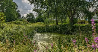 von_poll_real_estate_property_25173017_image_8