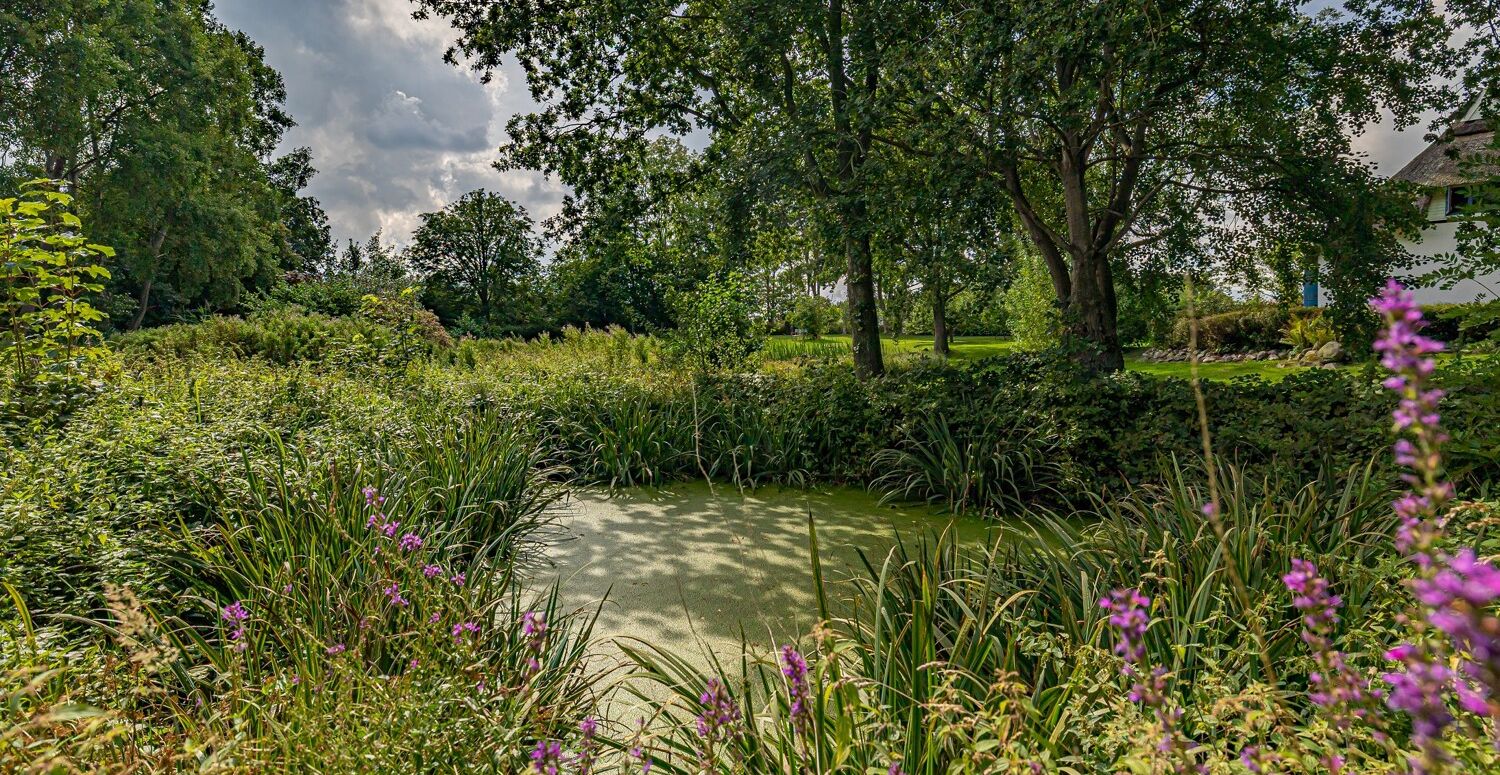 Gartenimpressionen