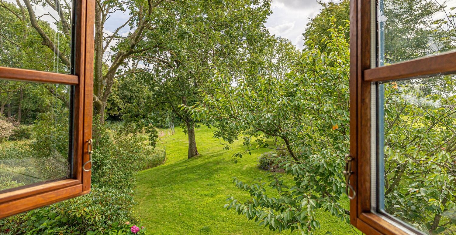 Blick in den Garten