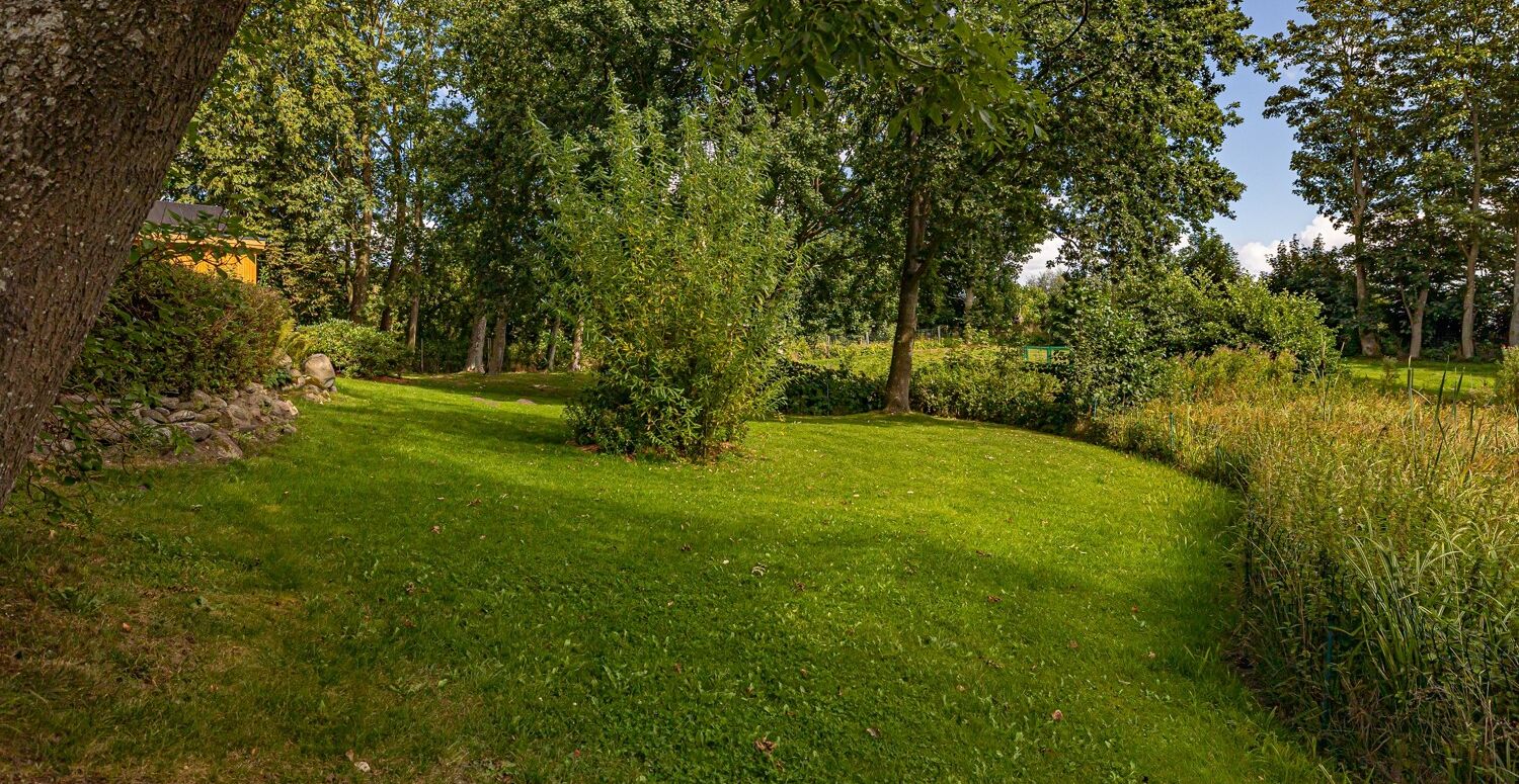 Gartenimpressionen