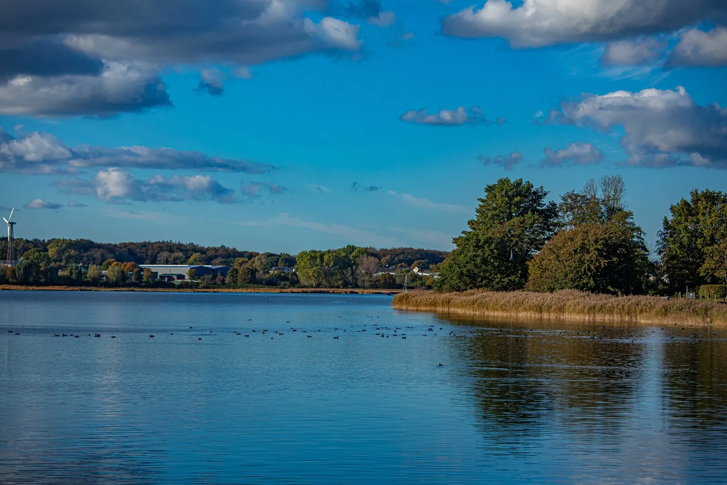 die Schlei in Hausnähe