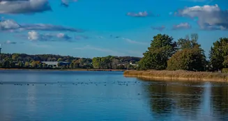 von_poll_real_estate_property_25173018_image_6