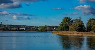 von_poll_real_estate_property_25173018_image_6