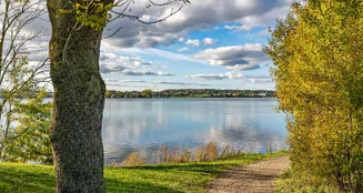 von_poll_real_estate_property_25173018_image_5