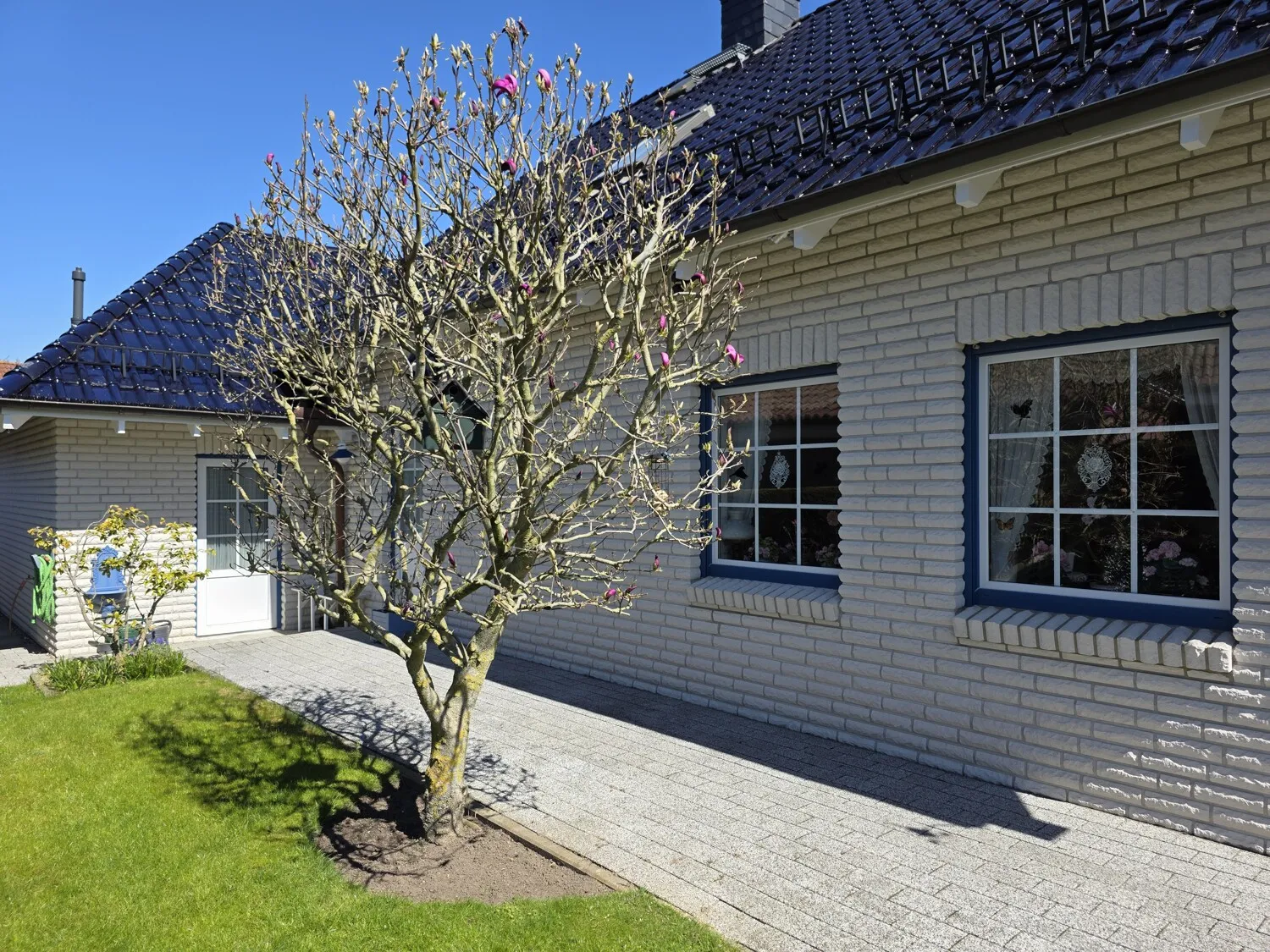 Gepflegte Außenanlage am Wohnhaus