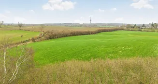 von_poll_real_estate_property_25053156_image_6