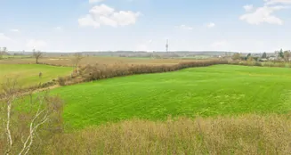 von_poll_real_estate_property_25053156_image_6