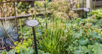 von_poll_real_estate_property_25053131_image_3