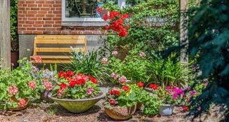 von_poll_real_estate_property_25053075_image_7