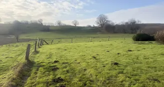 von_poll_real_estate_property_25053180_image_14